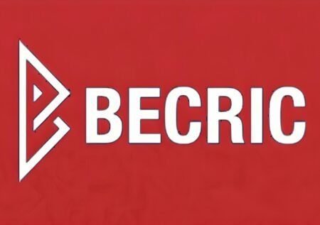 BeCric Review 2024